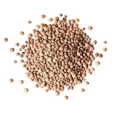 Organic Red Lentils Whole - By Food To Live 2 Organic Red Lentils Whole - By Food To Live - Image 2