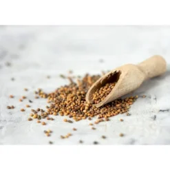 Organic Arugula Sprouting Seeds - By Food To Live -Lipton Shop GUEST 0c1f64b2 29a6 45b6 8867 40311b45f522