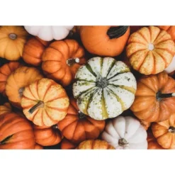 Organic Dry Roasted Pumpkin Seeds In Shell With Himalayan Salt - By Food To Live -Lipton Shop GUEST 29b222ea 13d0 41a2 ab02 b1270fff78cd