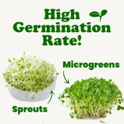 Organic Clover Sprouting Seeds - By Food To Live -Lipton Shop GUEST 48ab798b 7256 4954 af6a b45f2e405bc9