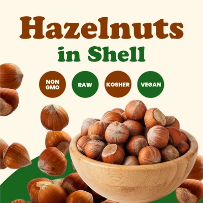 Hazelnuts In Shell - By Food To Live 2 Hazelnuts In Shell - By Food To Live - Image 2
