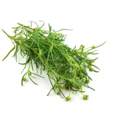 Organic Whole Psyllium Seeds - By Food To Live -Lipton Shop GUEST 710a67d5 1ada 4bc2 89d4 8f3812438288