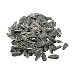 Hill's 12 Oz Half Salt Sunflower Seeds - Pack Of 3 -Lipton Shop GUEST 71fedeca 6c10 4ee3 b902 a9e0f6dad40f