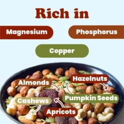 Organic Active Life Trail Mix — Raw And Non-GMO Snack Mix Contains Cashews, Pumpkin Seeds, Apricots, Hazelnuts, Almonds. Vegan, Kosher, Bulk -Lipton Shop GUEST 73ffeec3 d5ab 421c 8b66 3a021364245d