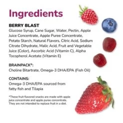 Brainiac Kids Fruit Snacks With Omega-3s Berry Blast - 12.4oz/20ct -Lipton Shop GUEST 838ac3a8 2520 4912 bef6 9521f277e748