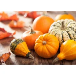 Organic Raw Pumpkin Seeds In Shell - By Food To Live -Lipton Shop GUEST c5a4e848 6a4c 4df7 bf7d 203e3ed228c2