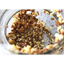Organic Arugula Sprouting Seeds - By Food To Live -Lipton Shop GUEST d80d3ce8 a456 4a0a b4b0 957784ca9b10